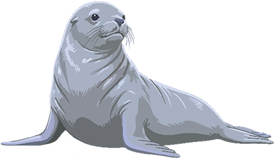 Foka – maskotka Morze Montessori Gdańsk