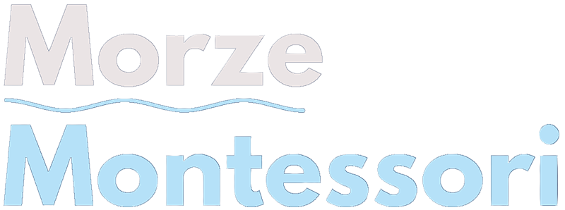 Morze Montessori – sieć przedszkoli i szkół Montessori w Gdańsku